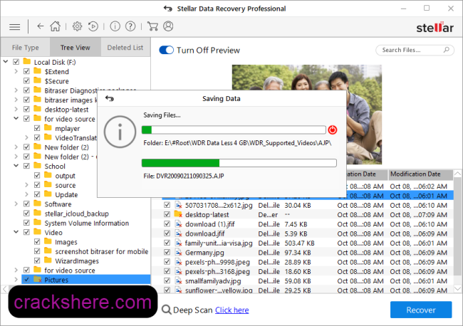 Stellar Data Recovery Professional Activation Key