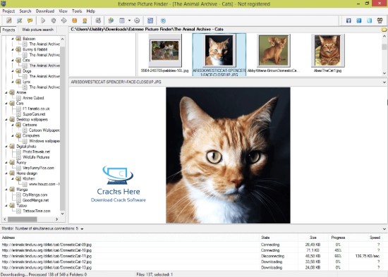 Extreme Picture Finder for Windows