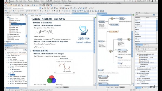 Oxygen XML Editor Free License-XML Expert